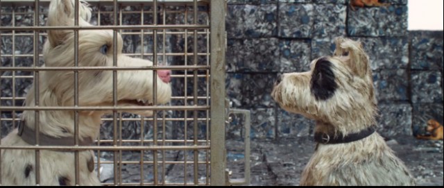 Köpek Adası Fotoğrafı