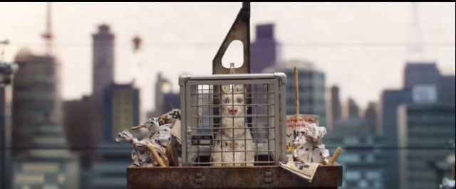 Köpek Adası Fotoğrafı