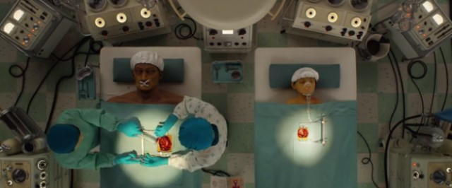 Köpek Adası Fotoğrafı