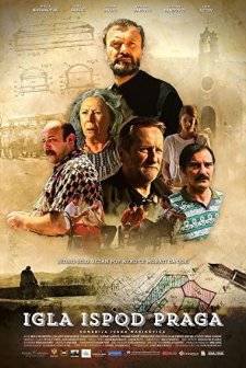 Kara İğne (2016) afişi