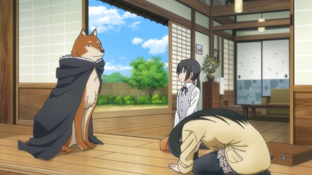 Flying Witch  Fotoğrafı