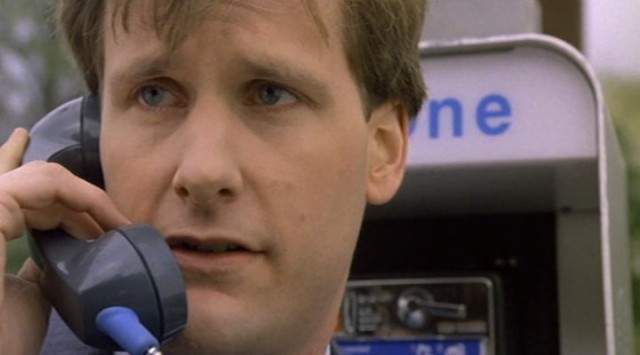 Vahşi Birşey Fotoğrafı