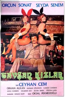 Tavşan Kızlar (1976) afişi