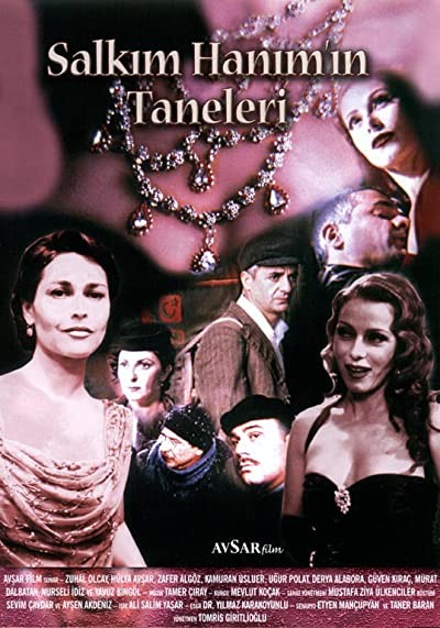 Salkım Hanım’ın Taneleri (1999) afişi