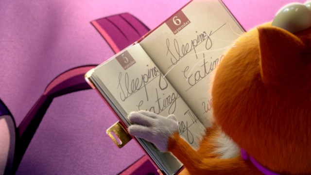 Ajan Kedi Fotoğrafı