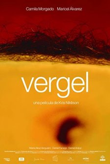 Vergel (2017) afişi