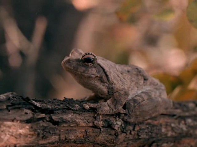 Çılgın Kaçış Fotoğrafı