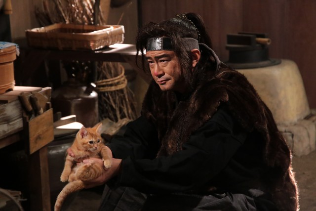 Neko Ninja fotoğrafı