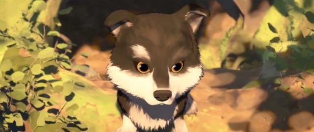 Beyaz Diş Fotoğrafı