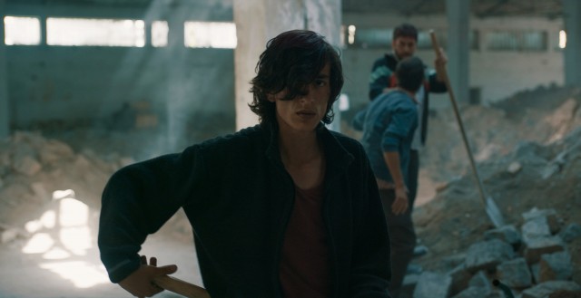 Güvercin Fotoğrafı