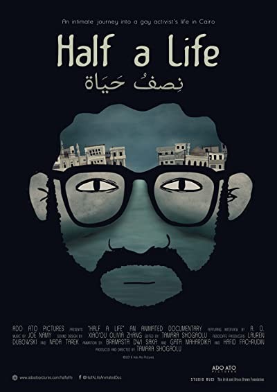 Hayatın Yarısı (2017) afişi