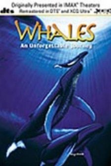 Whales: An Unforgettable Journey (1997) afişi