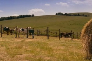 Gölge Oyunu Fotoğrafı