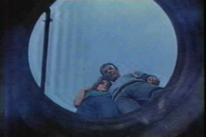 Alligator fotoğrafı