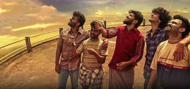 Güvercin Fotoğrafı