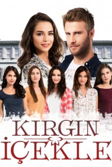 Kırgın Çiçekler (2024) afişi