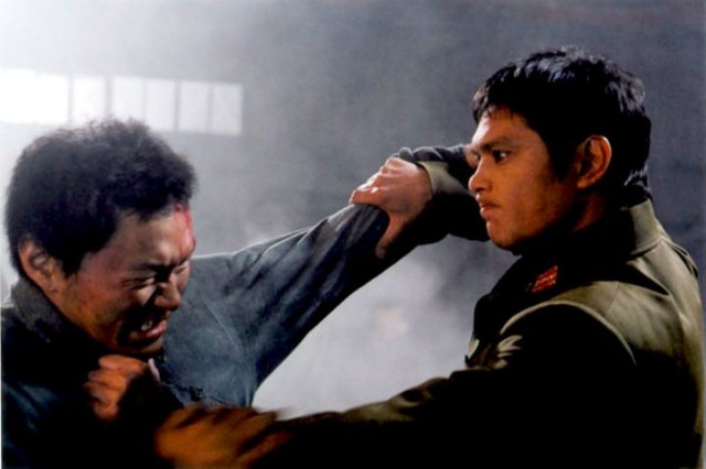 Fighter in The Wind fotoğrafı