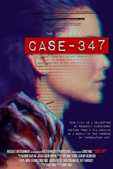 Case 347 (2020) afişi