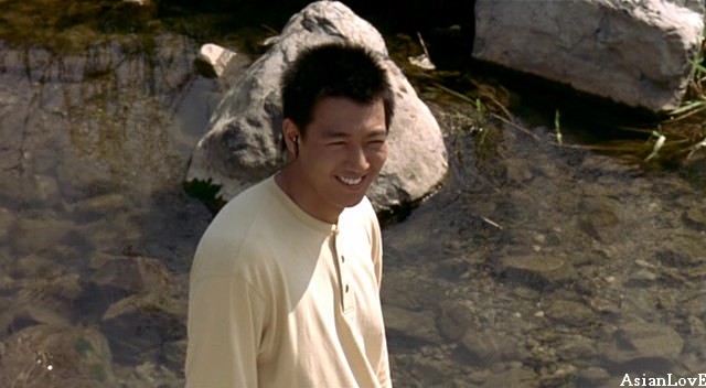 Ayçiçeği fotoğrafı