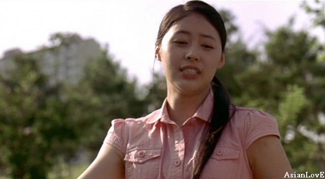 Ayçiçeği fotoğrafı