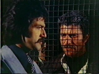 Evlatlık Fotoğrafı