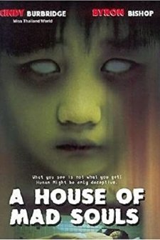 A House Of Mad Souls (2003) afişi