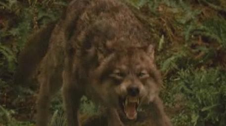 Alacakaranlık Efsanesi: Yeni Ay Fotoğrafı