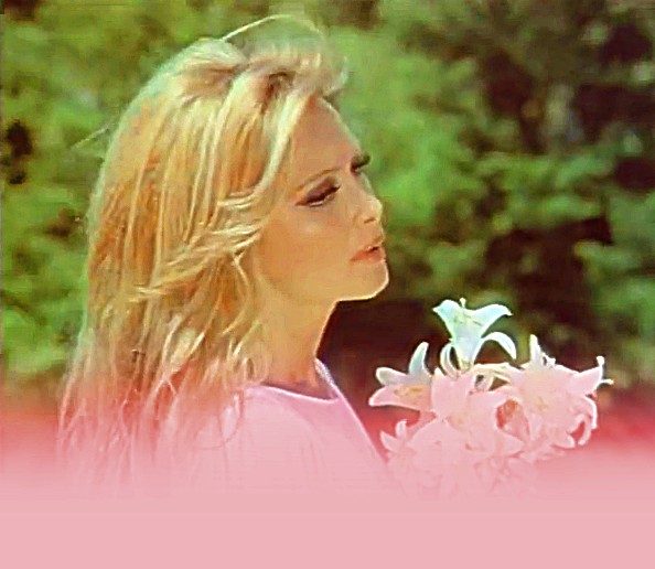 Zambaklar Açarken fotoğrafı