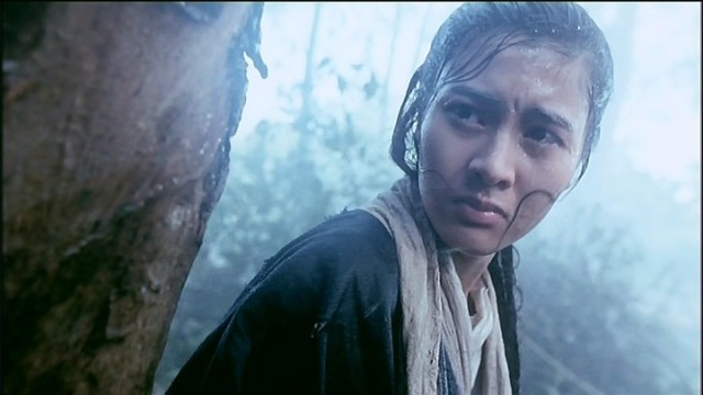 Swordsman II fotoğrafı