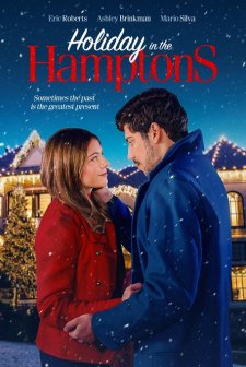 Holiday in the Hamptons (2024) afişi