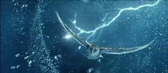 Baykuş Krallığı Efsanesi Fotoğrafı