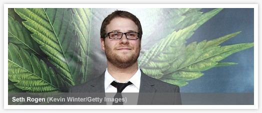 Yeşil Yaban Arısı Fotoğrafı