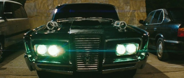 Yeşil Yaban Arısı Fotoğrafı