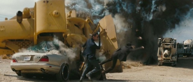 Yeşil Yaban Arısı Fotoğrafı