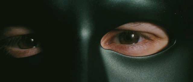 Yeşil Yaban Arısı Fotoğrafı