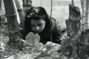 Yol Türküsü fotoğrafı