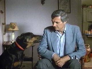 Sweet Liberty Fotoğrafı