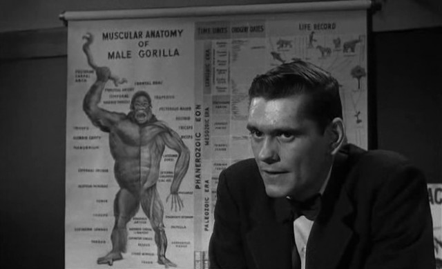 Rüzgarın Mirası fotoğrafı