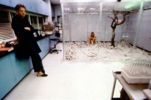 İçgüdü Fotoğrafı