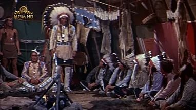 Oturan Boğa Fotoğrafı