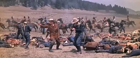 Oturan Boğa Fotoğrafı