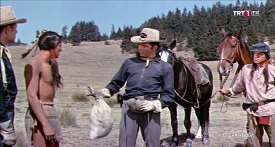 Oturan Boğa Fotoğrafı