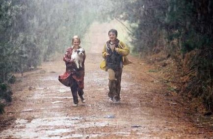 Terabithia Köprüsü Fotoğrafı