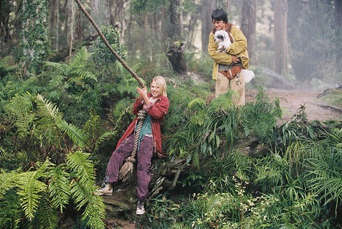 Terabithia Köprüsü Fotoğrafı