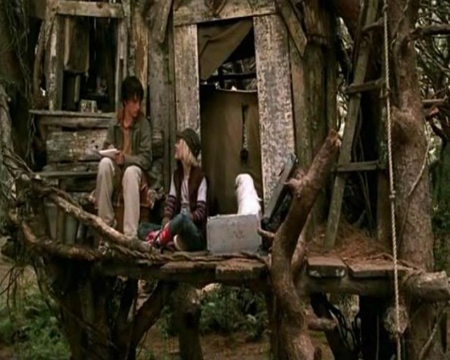 Terabithia Köprüsü Fotoğrafı