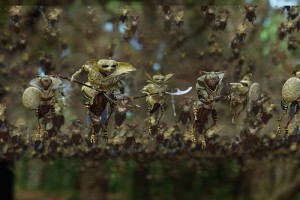 Terabithia Köprüsü Fotoğrafı