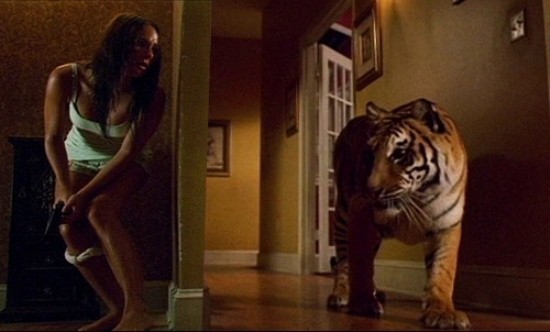 Kaplan Kapanı Fotoğrafı