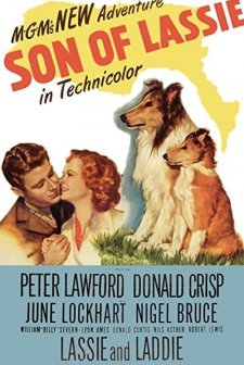 Son Of Lassie (1945) afişi
