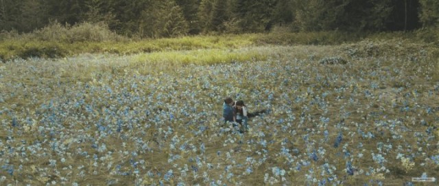 Alacakaranlık Efsanesi: Tutulma Fotoğrafı