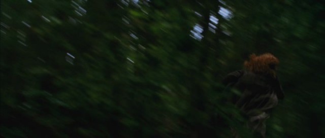 Alacakaranlık Efsanesi: Tutulma Fotoğrafı